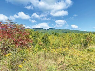 Grant Funds Awarded to Complete Kane Gap Trail Project