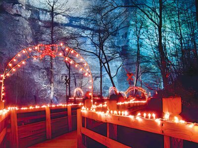 Enjoy a Free Chairlift Ride With Food Donation at NTSP